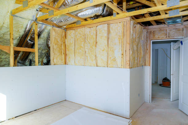 Best DIY Insulation Kits and Guidance in Thomasboro, IL