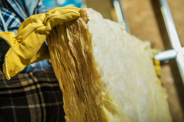 Types of Insulation We Offer in Thomasboro, IL